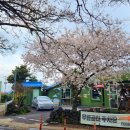 퐁낭퐁낭 이미지