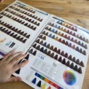 의정부경전철 회룡역 | 회룡역미용실 l 의정부 레드스토리헤어 탈색 없는 매트브라운 물광염색 후기