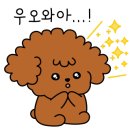 홍광천한우직판장 이미지