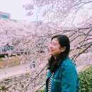 부성식육식당 | 2019년 3월의 일상