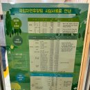 영덕여행 가성비 숙소 추천 / 칠보산 자연휴양림 후기