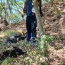 부산강서경찰서 이미지