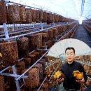 가야농원 이미지