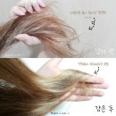 🌿 간단하게 머릿결 케어 순수연구소 데미지 케어 트리트먼트 SOOMSOOLAB DAMAGE CARE TREATMENT...