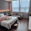 디에르산후조리원 | 디에르 산후조리원 내돈내산 후기