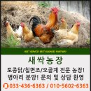 새싹3호농장 이미지
