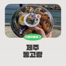 피크닉 도시락 | 제주도시락 동고량 바다뷰 피크닉 후기