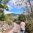 동산마을노인정 | 군위, 걸으며 사유하는 여행