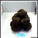 흑송로 생버섯 특급품1000g 블랙 트러플black truffle 세계3대 진미 색재료 귀한 특급 향 블랙트러플구입희망님 쪽지,,, 병차원 이미지