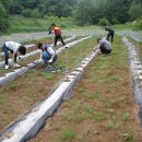 우복농장 이미지