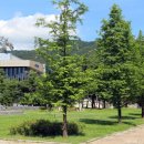 수레울 폭포공원 이미지