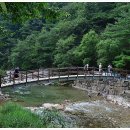 늘푸른낚시터 이미지