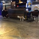 성서낚시 네이버블로그