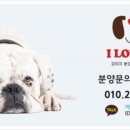 아이러브펫동물병원 이미지