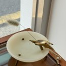 가가테크 | 혜인서 HYEIN SEO 26SS 컬렉션 &amp; 도산 매장 리뷰