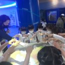 목련프로젝트어린이집 이미지