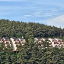 별빛정원 펜션 이미지