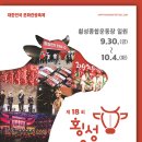 [올마이스] 제18회 횡성한우축제(Happy Hanwoo Festival) 이미지