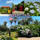 안덕면 상창리사무소 입구 | 제주 서귀포 가볼만한곳 제주도 7월 수국 파더스가든 축제기간 안덕면 아이랑 동물체험!