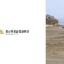 몽산포추억펜션