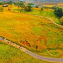 곡성묘천 이미지