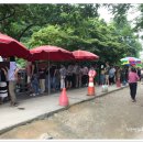 부여막국수 이미지