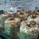 경원관광(주) 이미지
