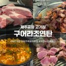 제주에내집 | 🍖 제주공항 고기집 [구어라조연탄] 제주시청 술집 추천, 흑돼지 한근 후기