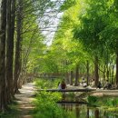 경주산림환경연구원 이미지