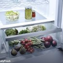 4383 | 수입 밀레 냉장고KS 4383 ED, 어떤 제품인가요?