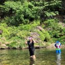 라고스테마 이미지