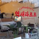 억새타르트