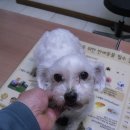 신월동019 이미지