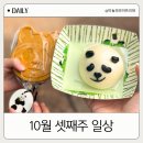 10월 셋째주 일상