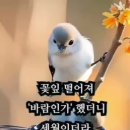 백년친구 - 구미시 | 백년친구