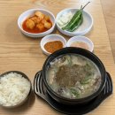 남강해장국 | 신사 남강순대국 신사혼밥맛집 신사해장맛집