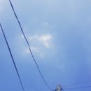 야매목수