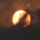 해넘이농장 이미지