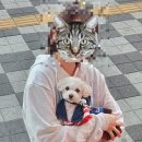 피자헛부산진역 이미지