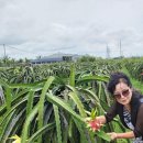 후회막급 이미지