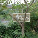 솔향기가득한집 이미지