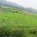 주현농장 이미지