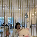대전 한남대 파스카로제하우스 야경이 예쁜 대형 루프탑 카페 후기