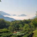 보현산자연휴양림 티스토리