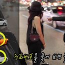 모트라인 이미지