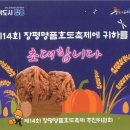 장흥 이미지