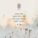 전도서 9:11 – 9:18 예측 불가한 인생살이, 지혜자가 당하는 현실 이미지