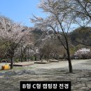 산장관광지 Daum카페