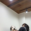 두루몽실 이미지