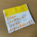 스누피준코 이미지
